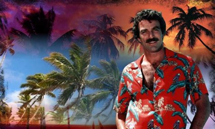 Tom Selleck Net Worth: Career & Lifestyle
