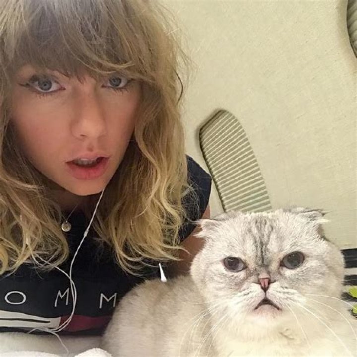 Top 8 Cat Obsessed Celebrities of 2018