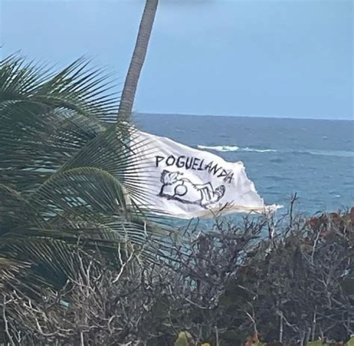 What is on the Poguelandia flag?
