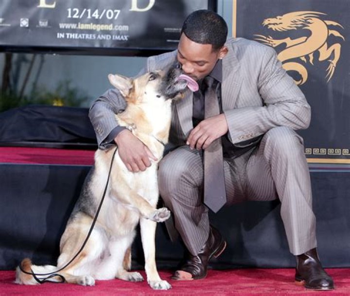 Will Smith Pets - Celebrity Pets
