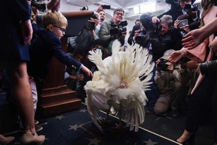 Wish Bone Net Worth - Wiki, Age, Weight and Height, Relationships, Family, and More